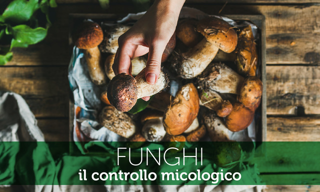 Controllo Funghi