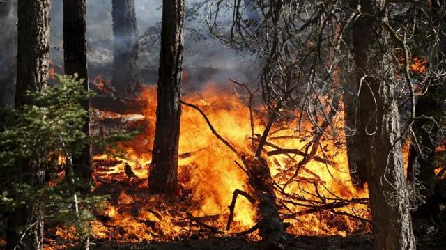 Revoca stato di massima pericolosità incendi boschivi dal 15 aprile
