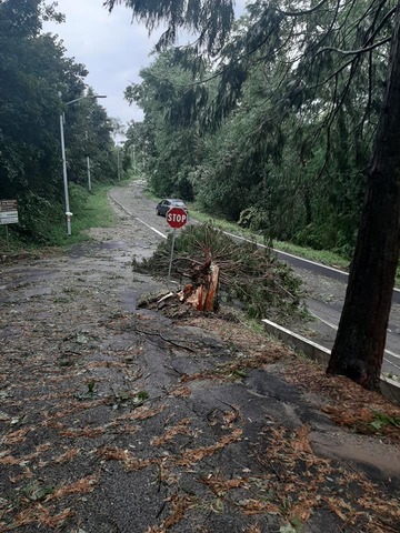 Fenomeno atmosferico eccezionalmente violento del 12/08/2019
